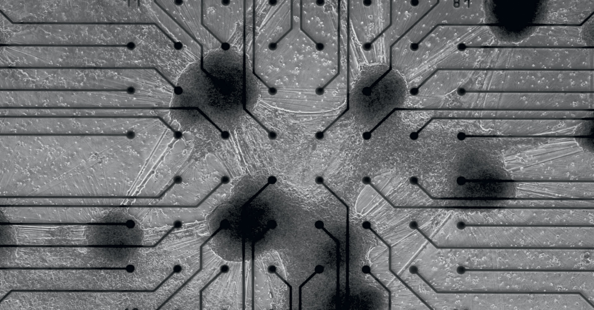 neuron-on-chip.jpg